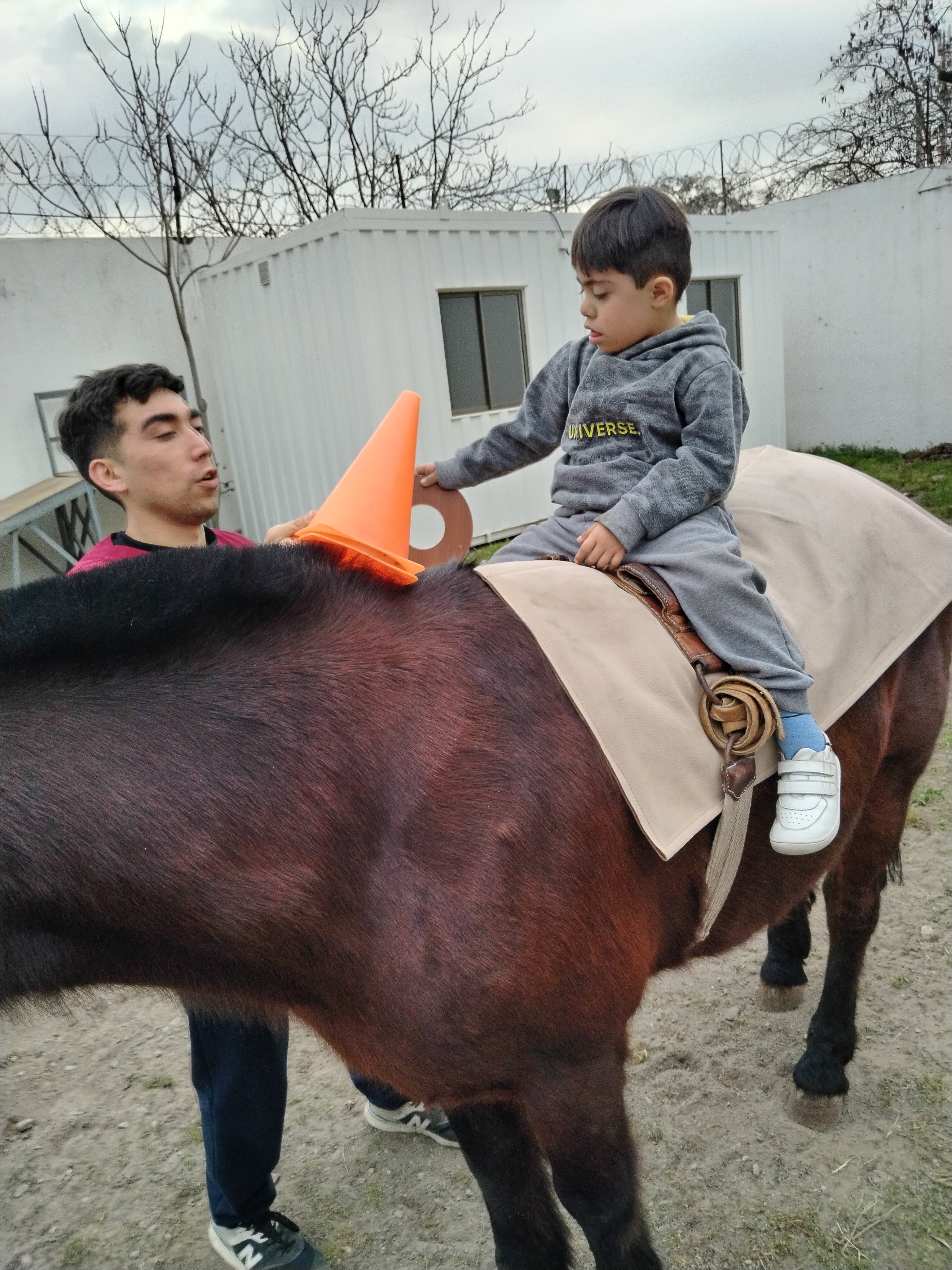 Actividad de hipoterapia con acompañamiento del equipo
